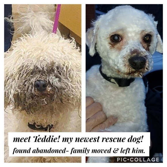 Pc leather bad bunny mask festival/photo shoot - Picture 10 of 10